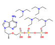 MC025119 Tenofovir Diphosphate Triethylamine Salt
